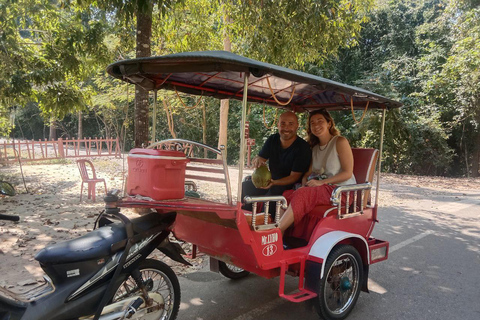 Siem Reap: Angkor National Museum Entry Ticket with Tuk-Tuk