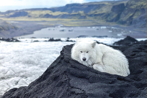 Reykjavík : forfait randonnée et escalade d’un glacierRandonnée et escalade du glacier sans transport