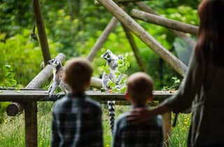 Belfast Zoo: Eintrittskarte