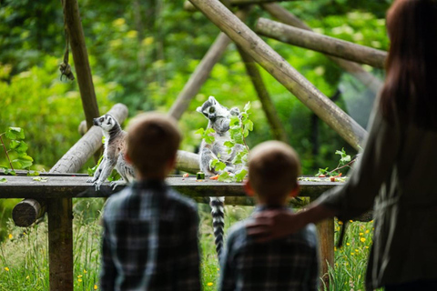 Belfast Zoo: Entry Ticket