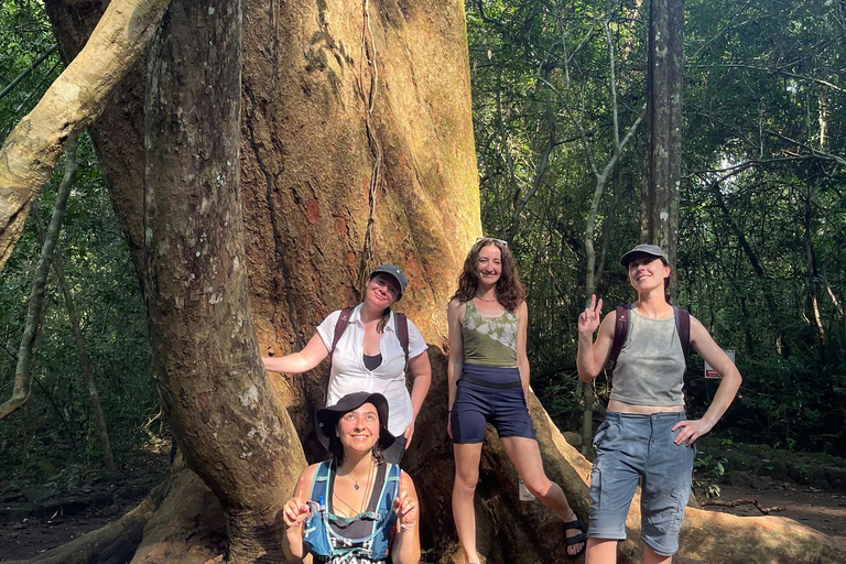 From HCMC: Cat Tien Jungle, Morning & Night safari included Group trip (from 2-5)