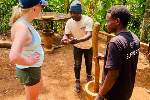 A Day Trip To Materuni Waterfalls And Coffee Experience
