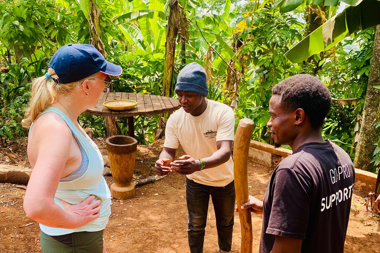 A Day Trip To Materuni Waterfalls And Coffee Experience