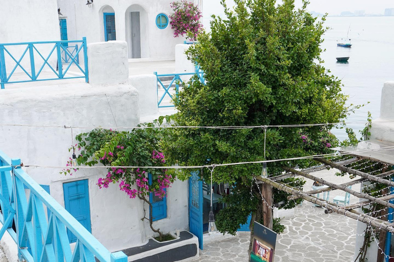 岘港精粹——芬咖啡工坊与灵应寺加入：韩国指南