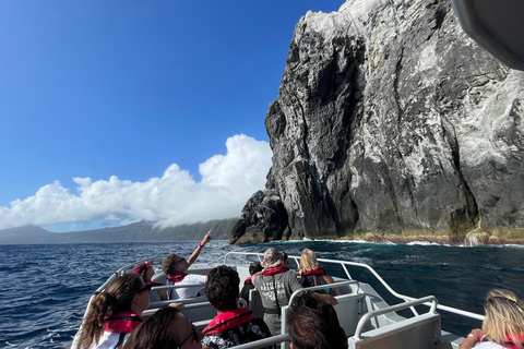 Isola di Faial: Tour unico in barca al vulcano Capelinhos