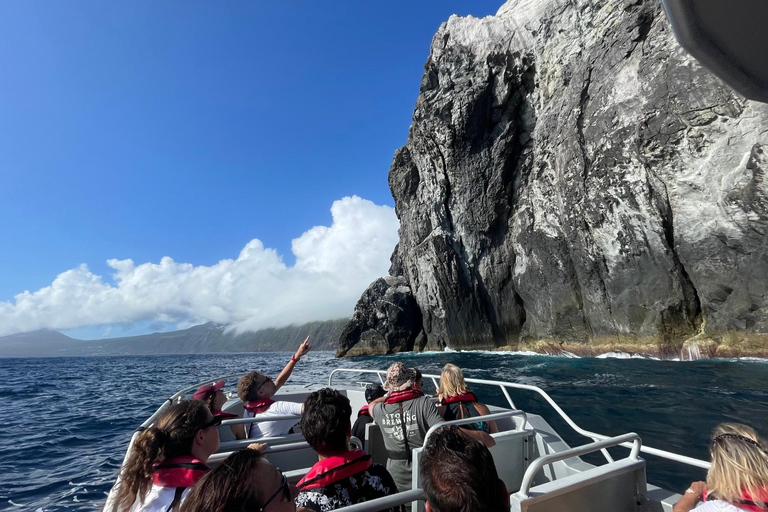 Isola di Faial: Tour unico in barca al vulcano Capelinhos