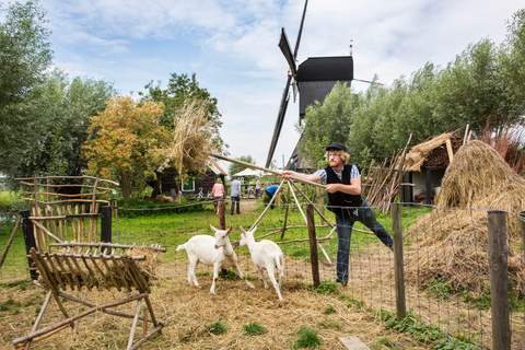 Antwerp: Full-day Holland Guided Keukenhof & Kinderdijk Tour Tour in Spanish