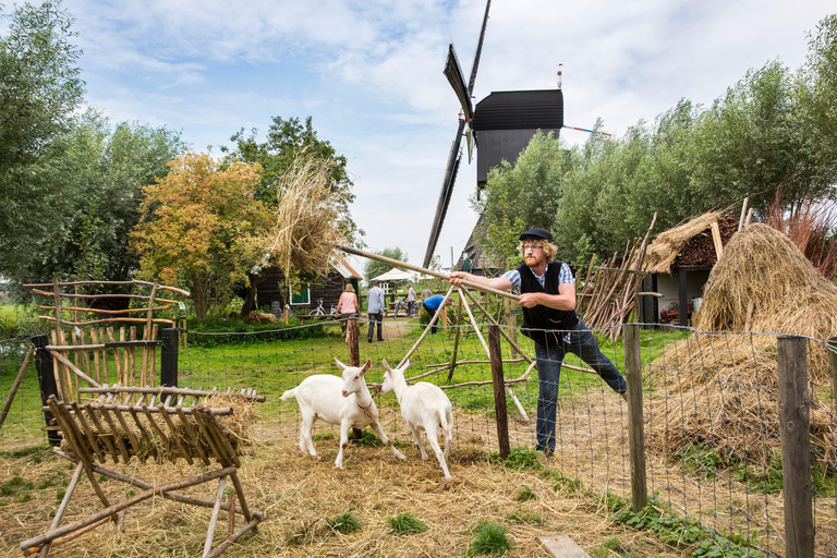 Antwerp: Full-day Holland Guided Keukenhof & Kinderdijk Tour Tour in Spanish