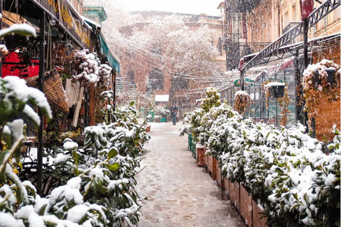 Yerevan: Tbilisi City Day Trip with Guide