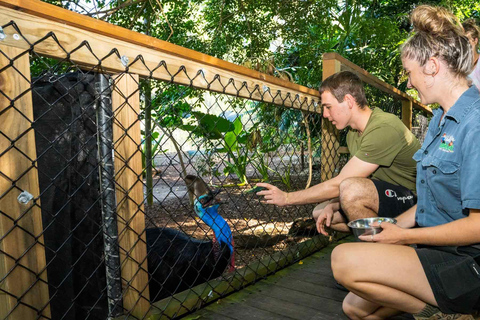 Från Cairns: Daintree, Mossman Gorge och Wildlife HabitatDaintree, Mossman Gorge och livsmiljöer för vilda djur