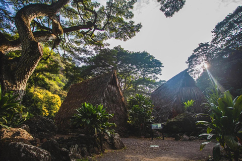 Oahu: Waimea Valley General Admission with Waterfall Access