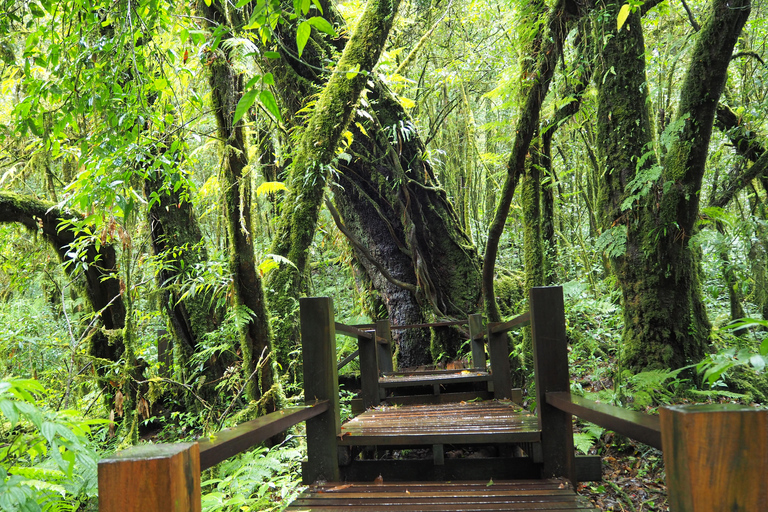 Chiang Mai: Doi Inthanon National Park 1 Day(Hotel Transfer) Chiang Mai: Doi Inthanon National Park Day Trip Included Fee