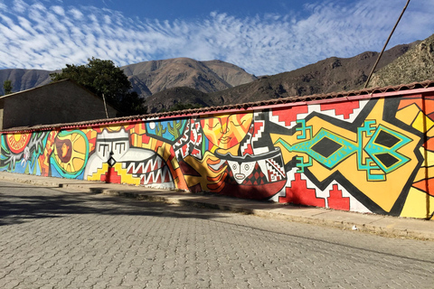 Elqui Valley Tour: Patrimonial and Natural