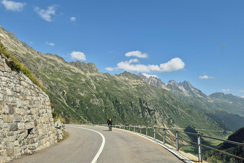 Lucerne : Aventure cycliste en descente avec baignade dans le lac