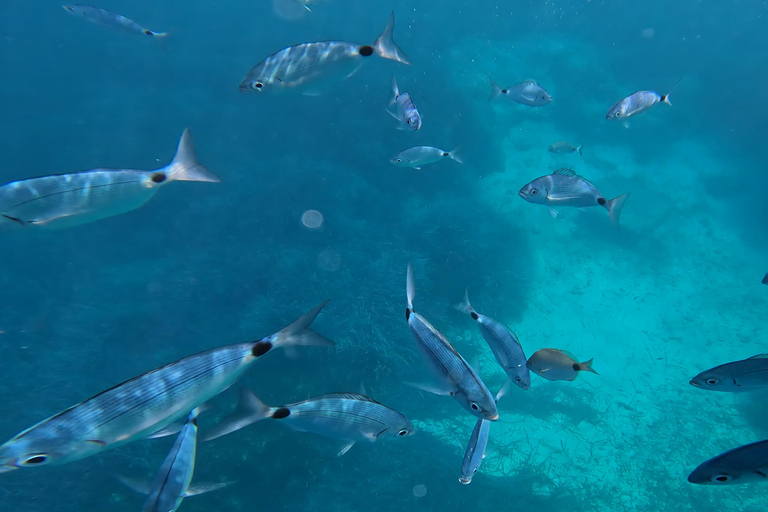 Salou: Underwater scooters