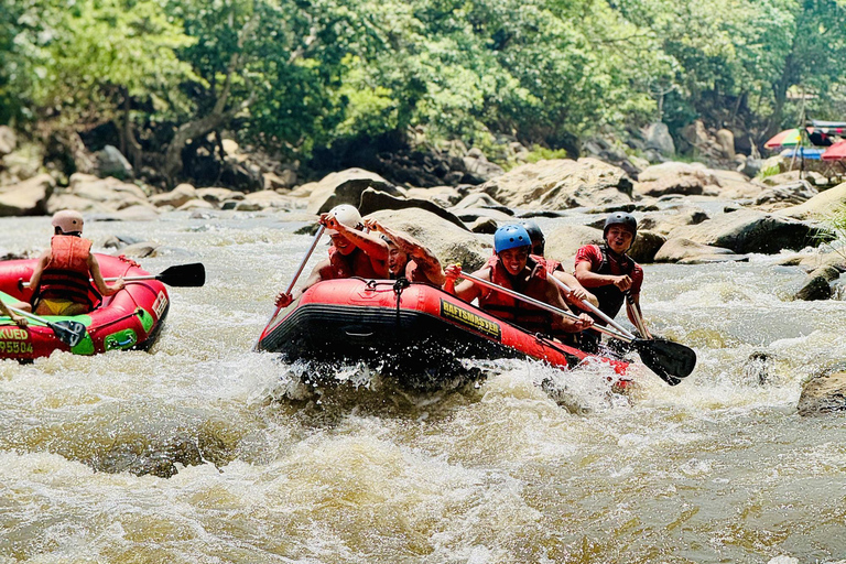 Chiang Mai : Excursion d'une journée à la cascade de Sticky et au rafting