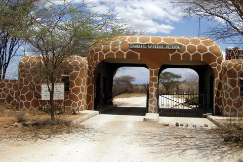 Depuis Nairobi : 3 jours dans la réserve nationale de Samburu