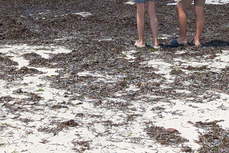 Zanzibar: The Rock Restaurant and Salaam Cave Private Tour with Hotel transfer at Anywhere in Zanzibar