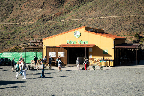 Gran Canaria från höjden: Fataga och TejedaTuren är på SPANSKA