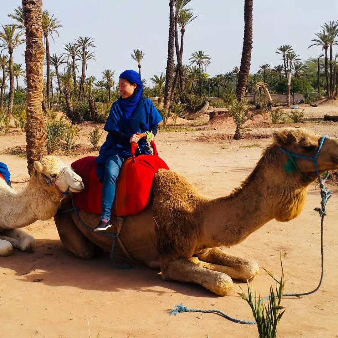 Agadir : Balade à dos de chameau avec thé et transferts