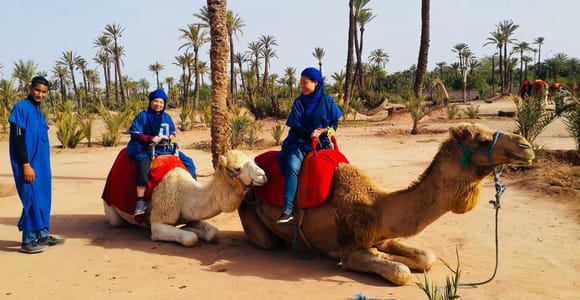 Agadir: Camel Ride Tour With Tea & Transfers
