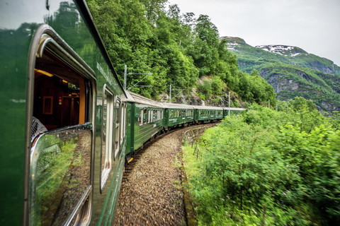 Visite guidée privée de la croisière Nærøyfjord d'Oslo et du chemin de fer de Flåm