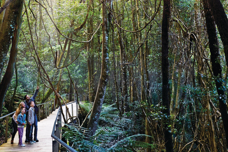 蓝山之旅：风景世界、翎羽谷（最多10人）蓝山之旅：风景世界、翎羽谷（含接送）