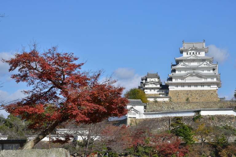 Himeji Castle Guided Tour and Kobe Beef Lunch from Kyoto Return Shinkansen (bullet train) ticket to Shin-Osaka
