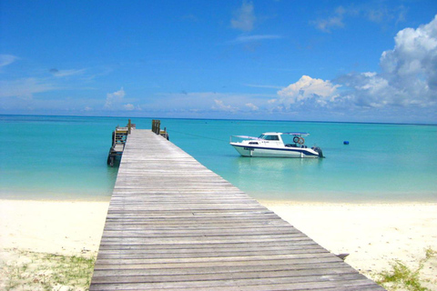 Kota Kinabalu: 1-Day Mengalum Isle & Mengkabong River Cruise Mengalum Island Only