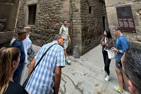 Barcelone : Excursion d&#039;une journée dans la région viticole du Penedès avec dégustation de vins