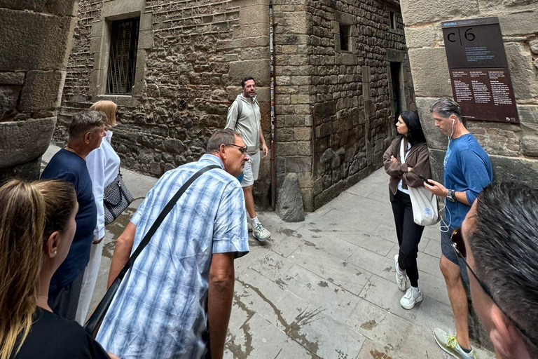 Barcelone : Excursion d&#039;une journée dans la région viticole du Penedès avec dégustation de vins