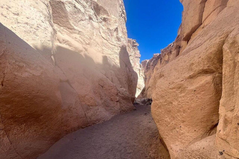 AREQUIPA: HALVDAG SILLAR ROUTE OCH CULEBRILLAS CANYON + UTSIKTSPLATS YANAHUARA