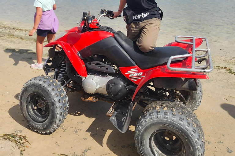 ATV in Djerba: Countryside, Lagoon, Fort Castille & Complimentary Mint Tea ATV in Djerba: Lagoon, Fort Castille & Mint Tea 3 hours