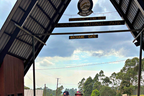 Kilimanjaro: 6-Day Western Breach Route Guided Climb