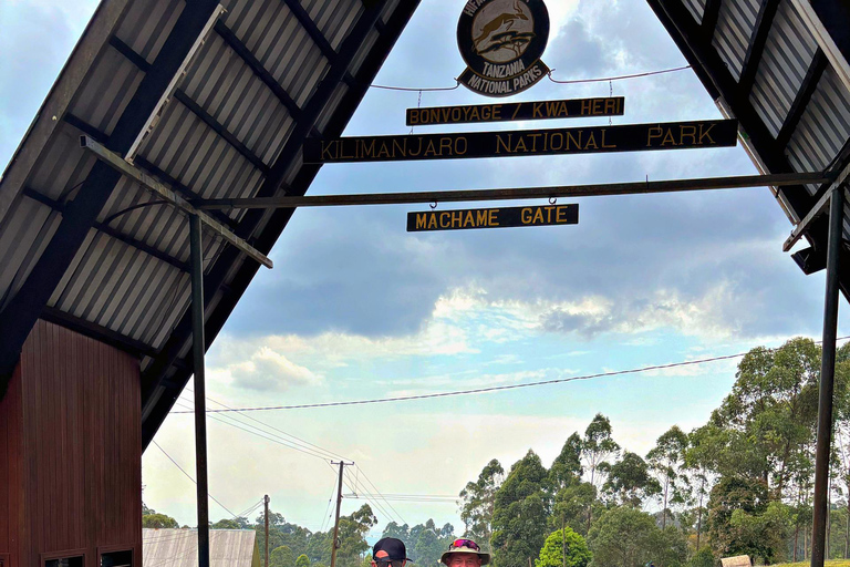 Kilimanjaro: 6-Day Western Breach Route Guided Climb