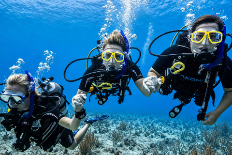Khao Lak: Similan and Surin Daytrip 2 dives + Hotel Transfer Friday Option — Richelieu Rock