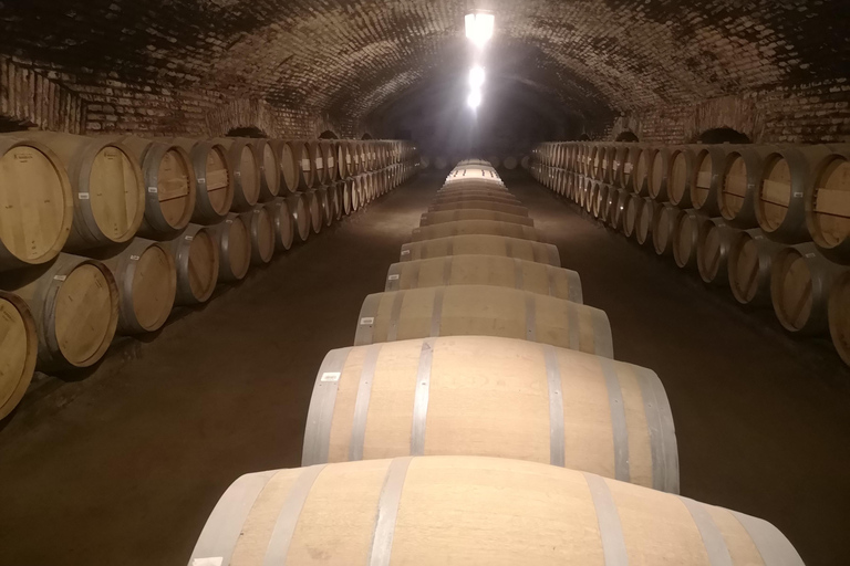 Concha y Toro Extended Tour with 7 Tastings and Lapis Lazuli