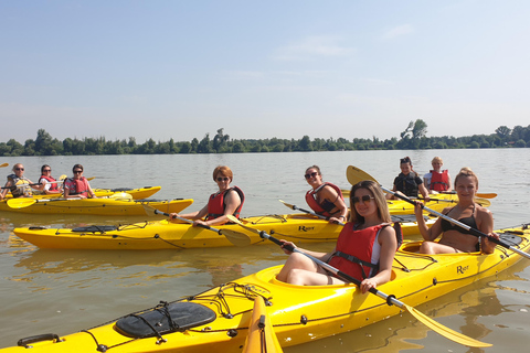 Belgrade : Aventure en kayak sur l'île de la Grande Guerre