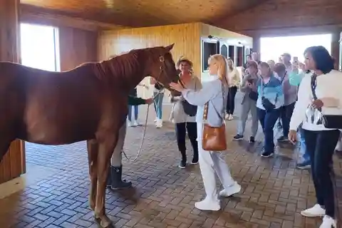 Lexington: Thoroughbred Horse Farm Tour and Scenic Bluegrass