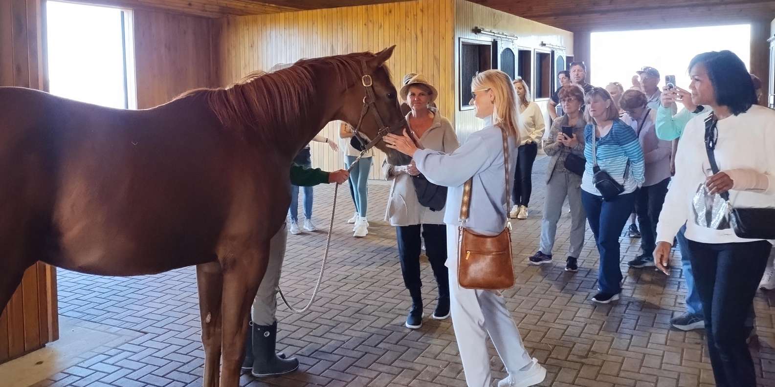 Lexington: Visita a una Granja de Caballos Purasangre y Bluegrass  panorámico | GetYourGuide, image size:1585x792