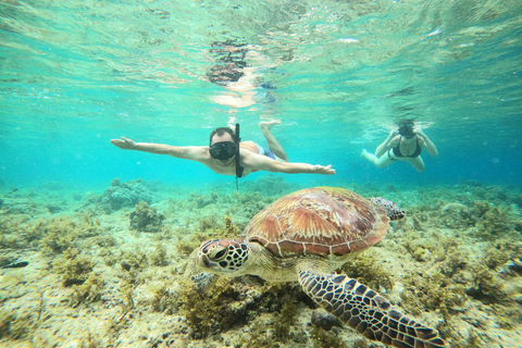 Cebu: Snorkeling em Sardine Run, Cataratas de Mantayupan e emoções de ATV