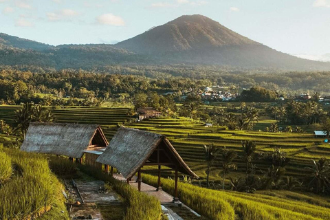 Bali: Jatiluwih Rice Terraces, Waterfall & Temple Tour