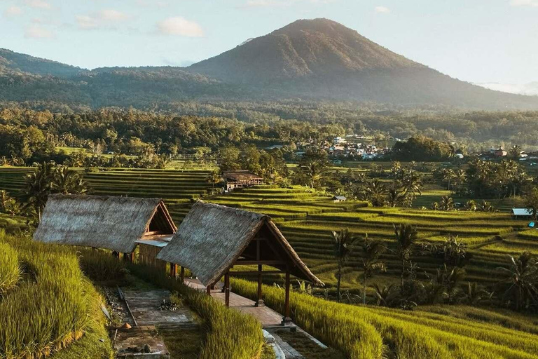 Bali: Jatiluwih Rice Terraces, Waterfall & Temple Tour