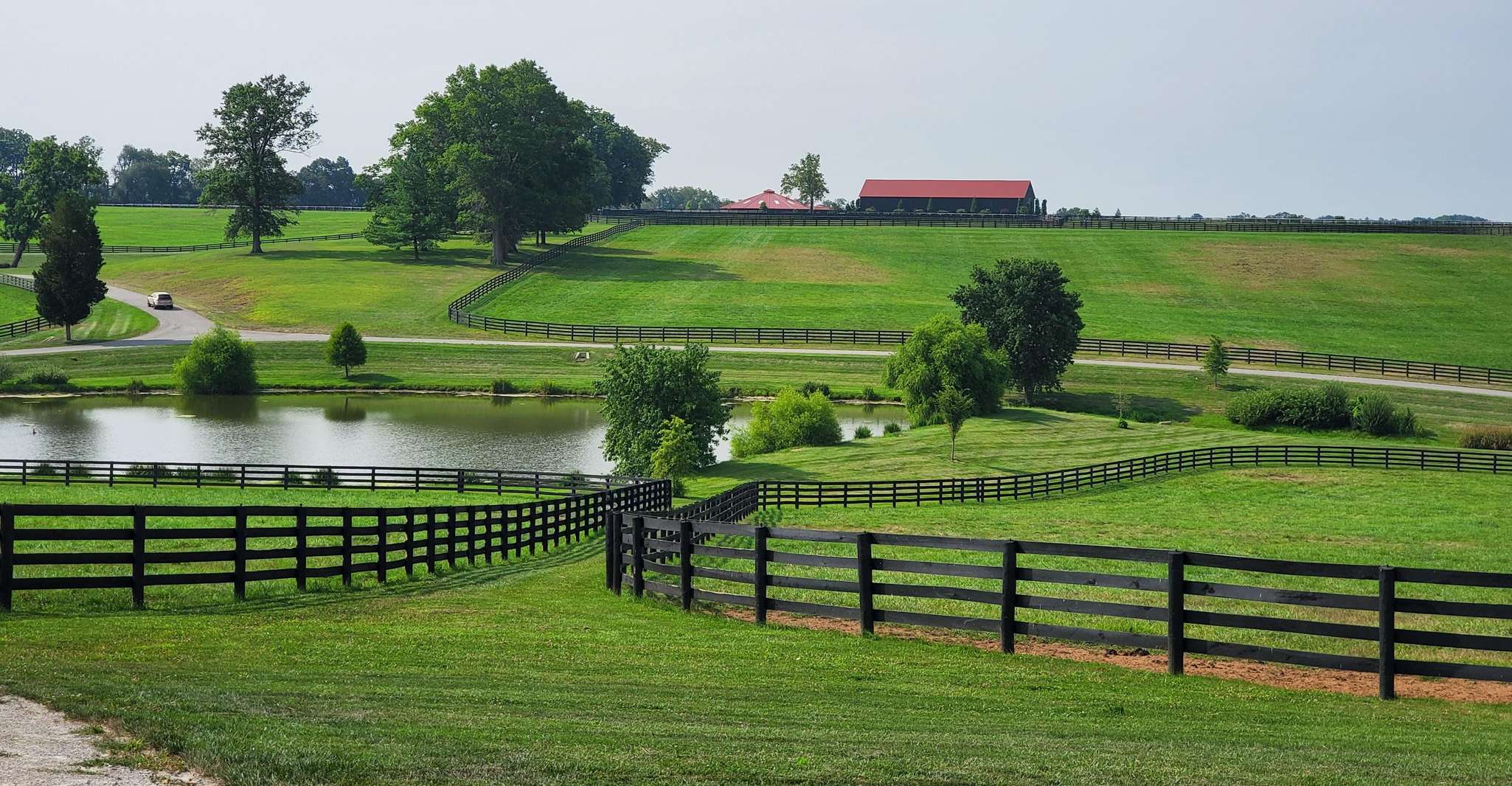 From Lexington, Kentucky Horse Farms Tour - Housity