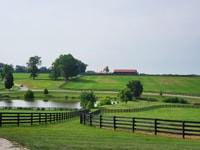 From Lexington, Kentucky Horse Farms Tour - Housity