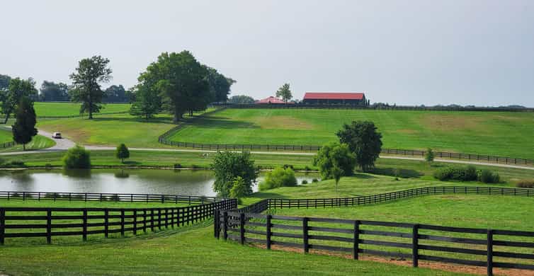 The 6 Best Horse Farm Tours in Lexington, Kentucky
