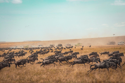 Safari aventure de 7 jours au Mont Kenya en camping