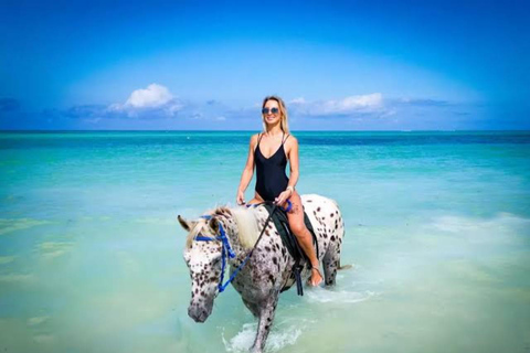 Zanzíbar: paseo a caballo por la playa con recogidaOpción con tarifas de equitación pero sin traslado incluido