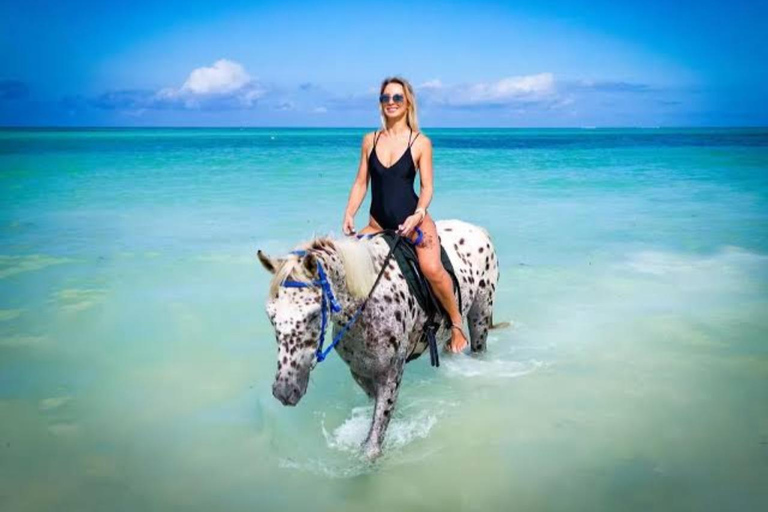 Zanzíbar: paseo a caballo por la playa con recogidaOpción con tarifas de equitación pero sin traslado incluido