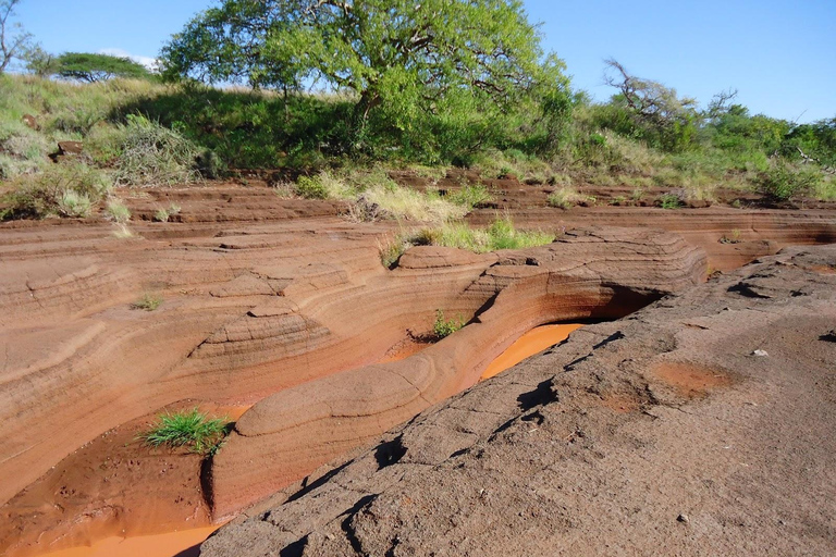 From Moshi: Lake Chala Day Trip with Hike and Canoe Safari